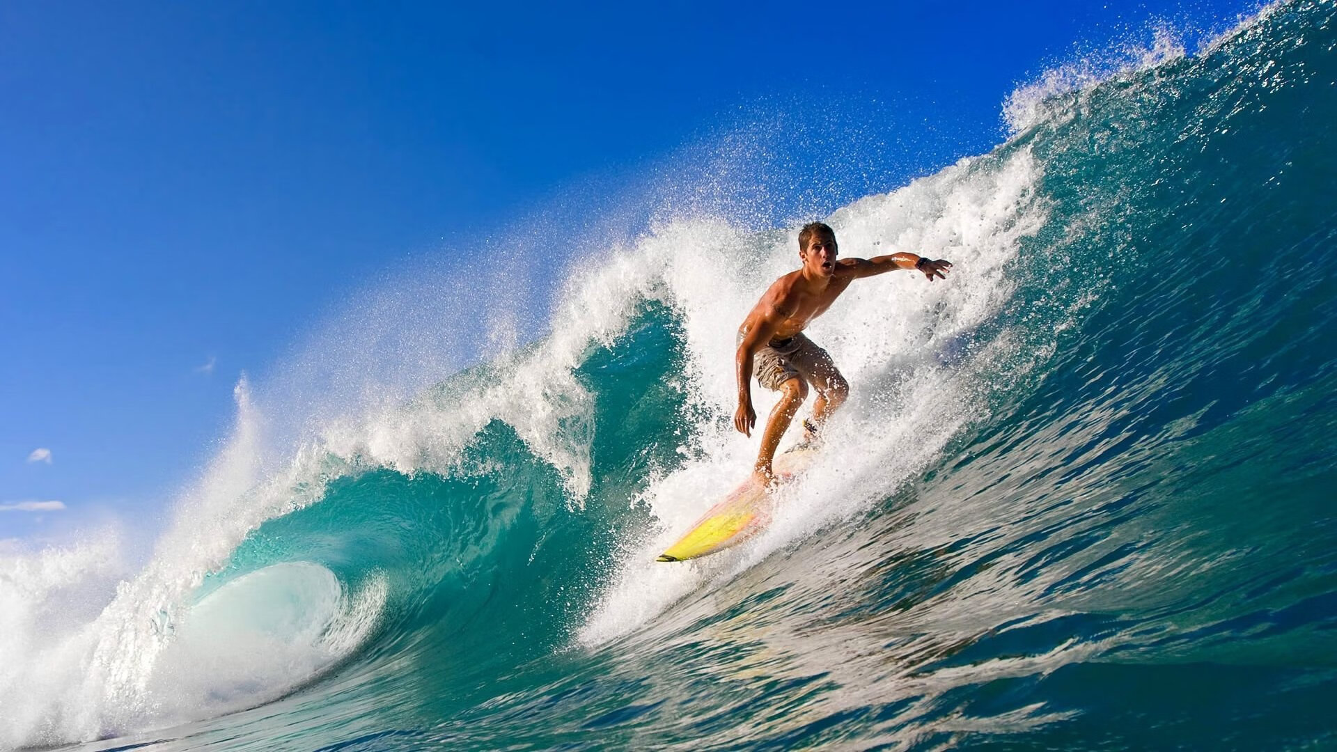 阿劳霍高光表现，美洲杯半决赛，美国如何粉碎阿根廷的卫冕之梦