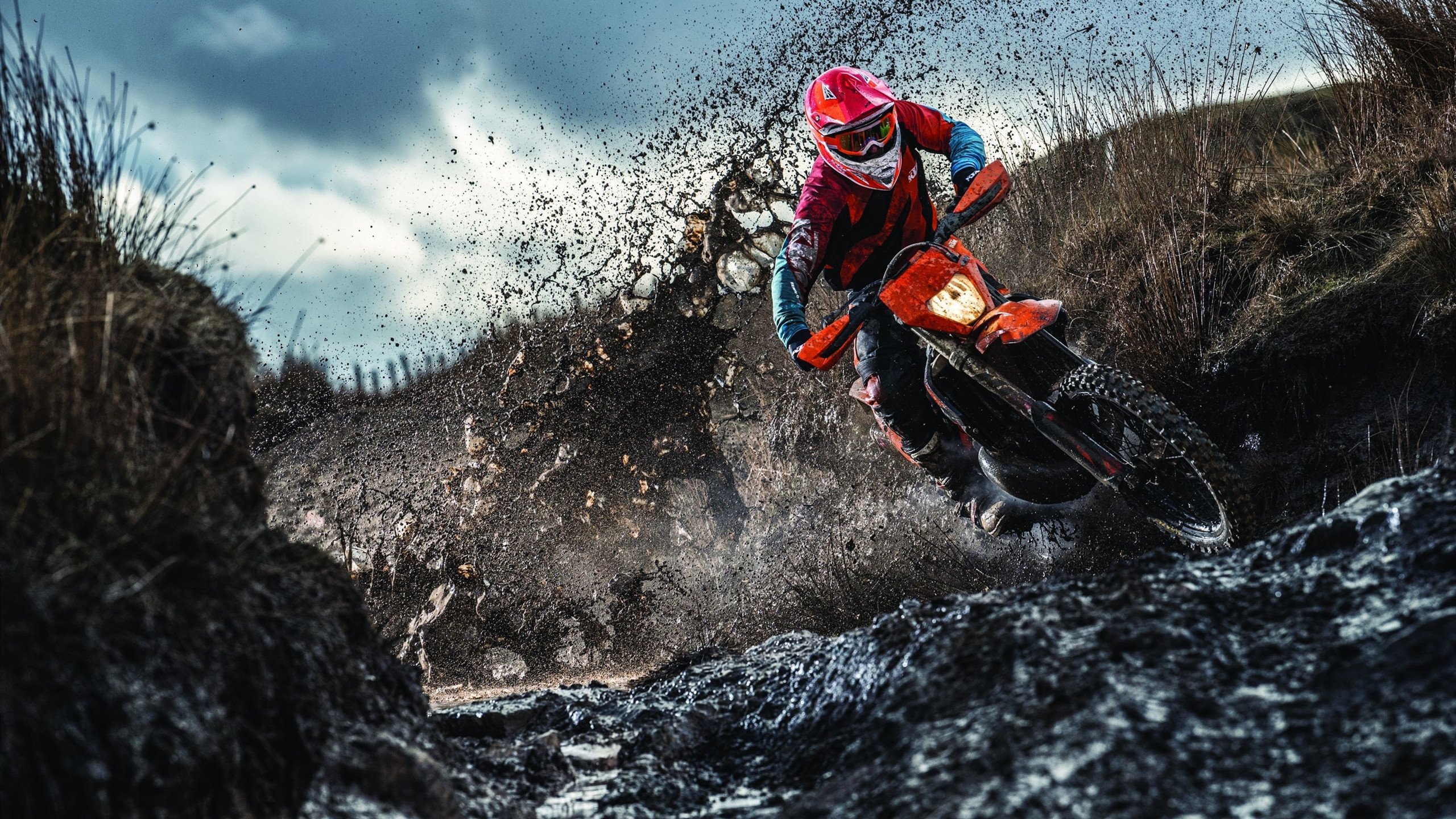 字母哥的眼泪与天山雪，当救赎与绝杀在平行时空共振